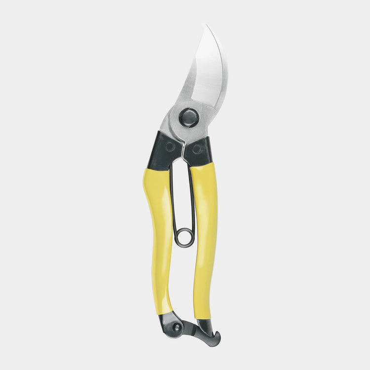Mainichi Secateurs
